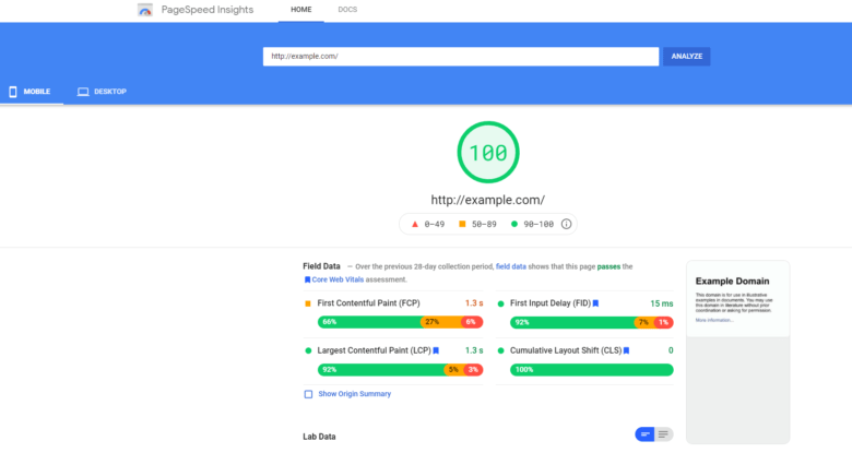 Google PageSpeed Insights for example.com overview