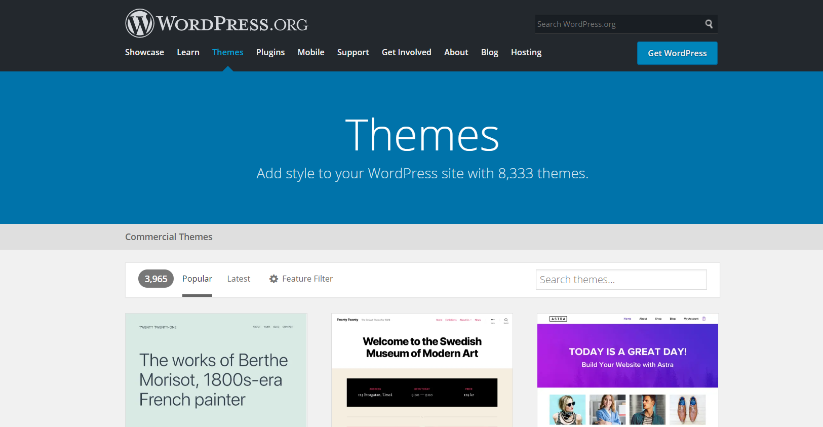 WordPress themes page overview