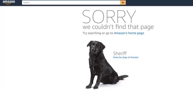 Amazon Not-Found page