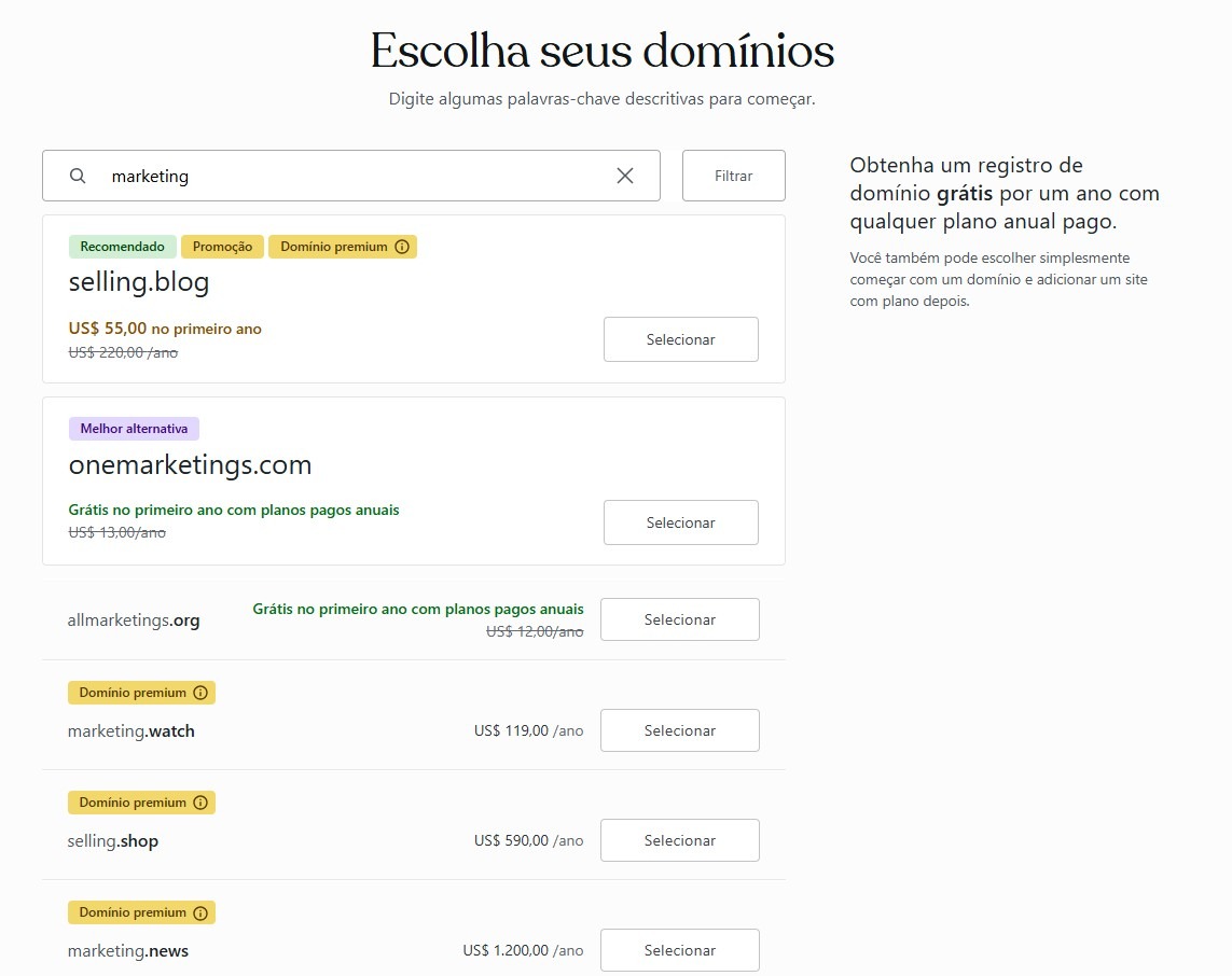 pagina-de-selecao-de-dominio-do-wordpress