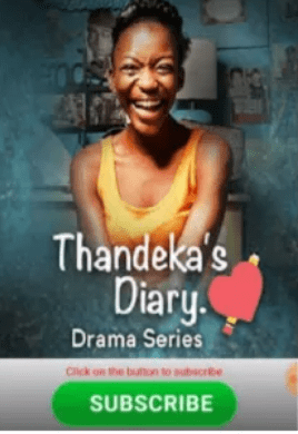thandeka's-diary-blogger-professionals-resources