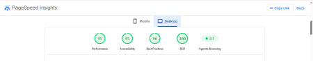 PageSpeed Insights