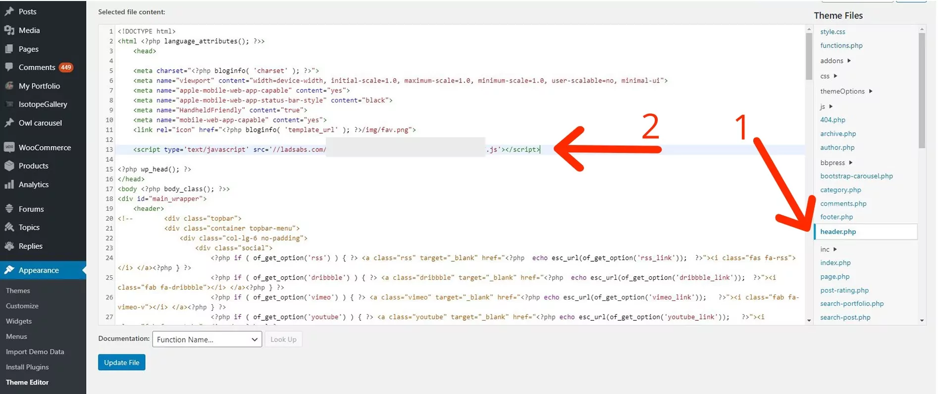 2. Paste the code according to the Adsterra instructions