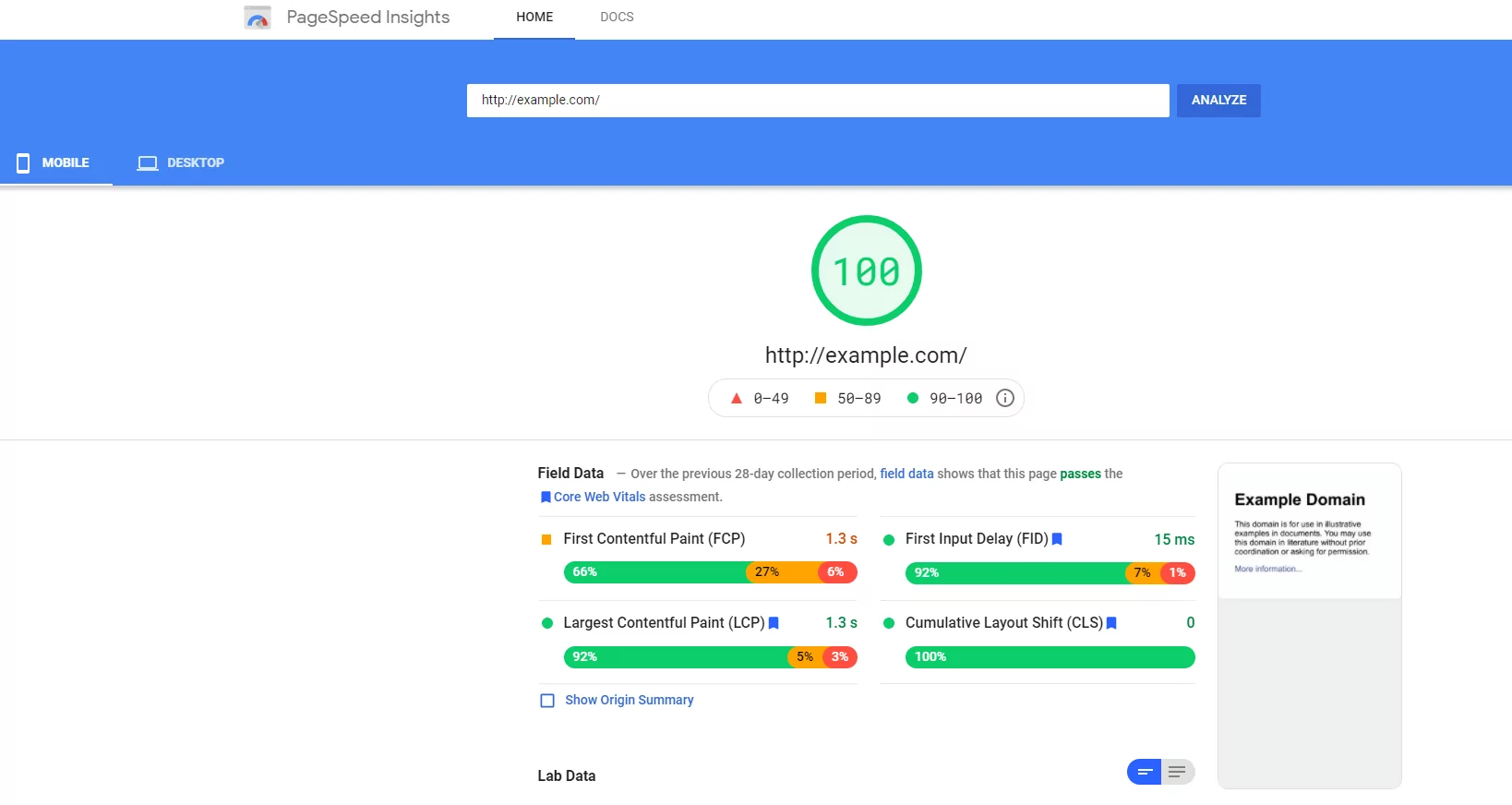 Google PageSpeed Insights for example.com overview