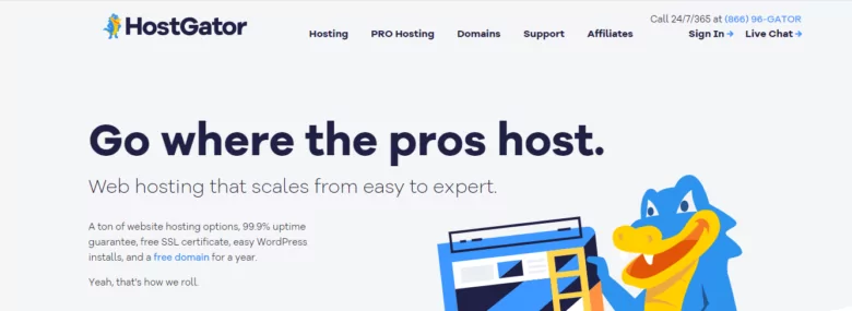  Hosting providers: learning pros and cons - 1