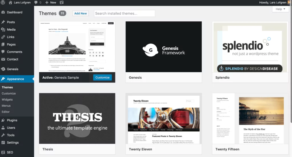 WordPress Themes section overview