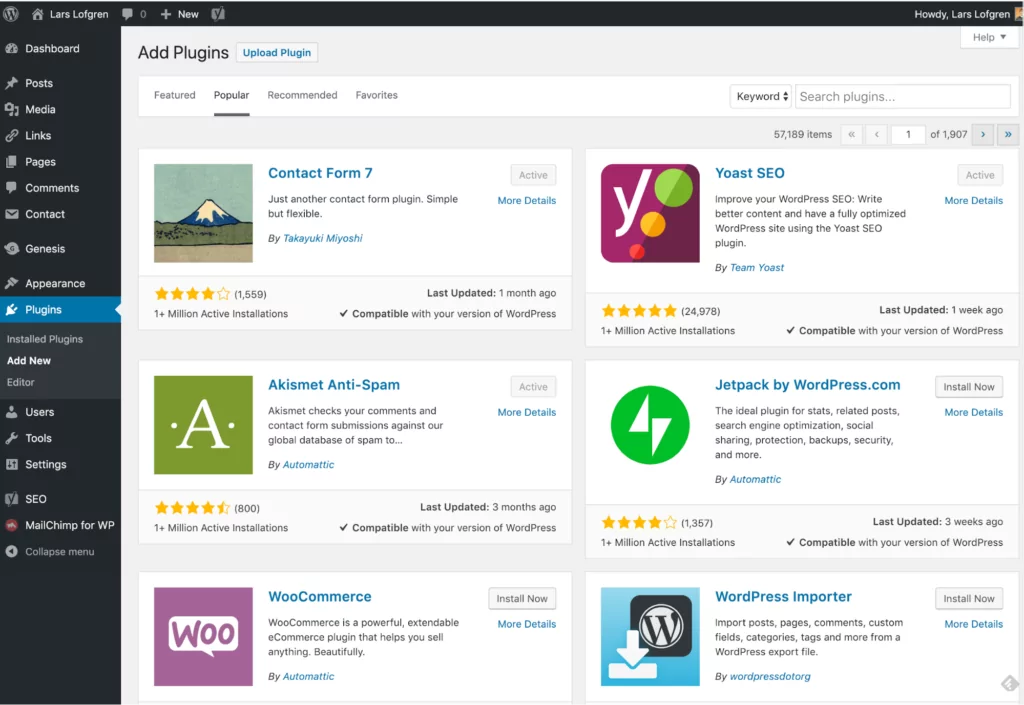 WordPress plugins section overview