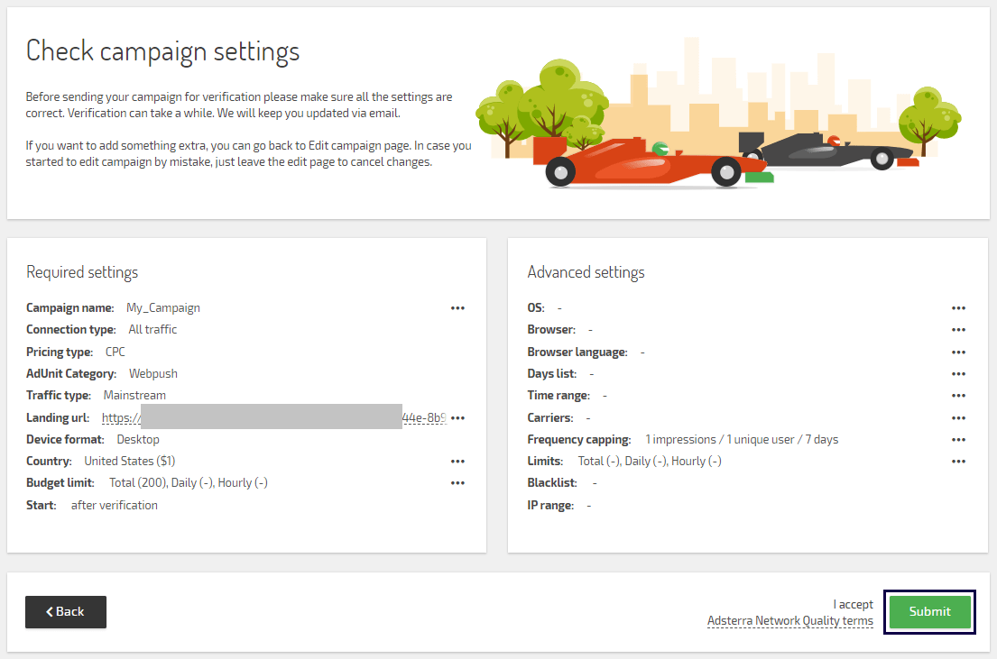 The Adsterra campaign setup preview page