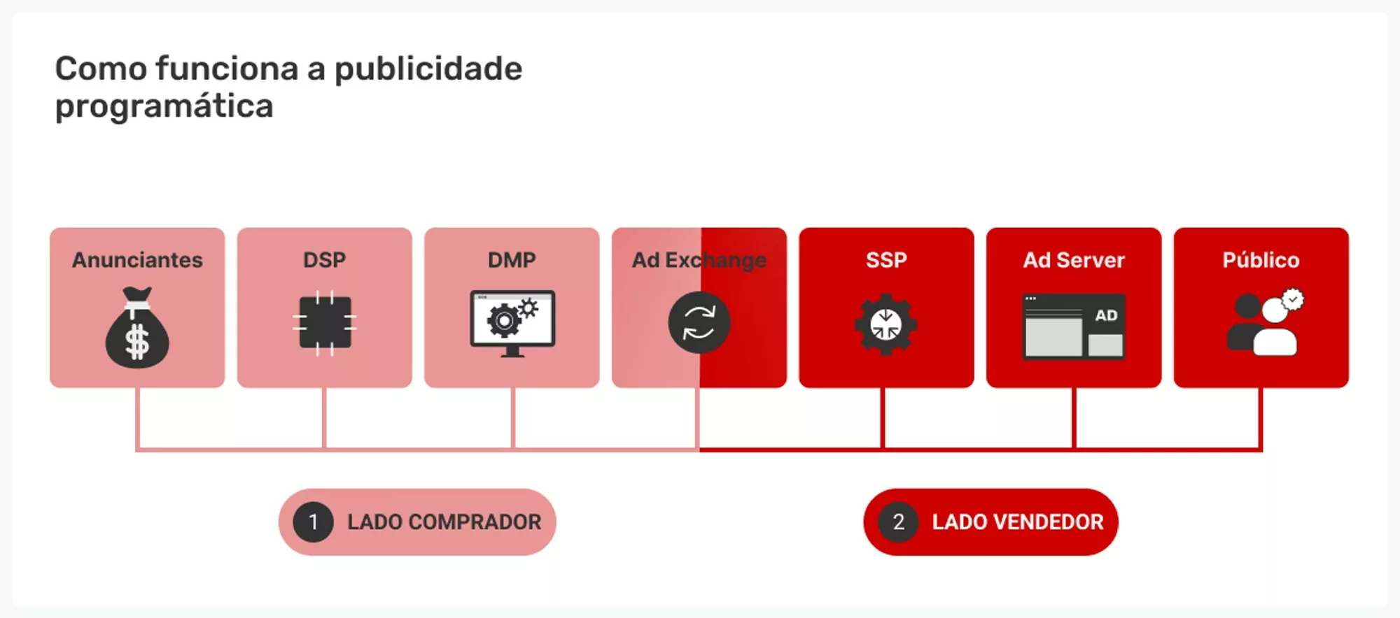 representacao-de-como-funciona-o-ecossistema-programatico