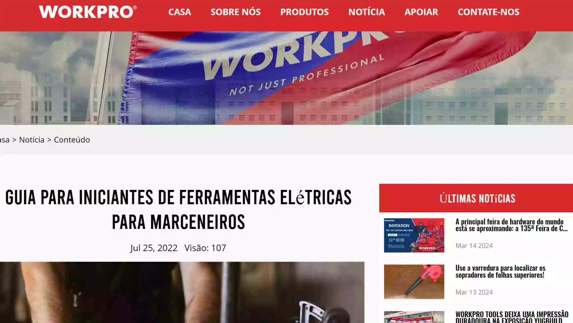 guia-para-iniciantes-do-blog-da-workpro