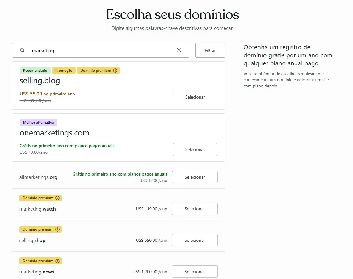 pagina-de-selecao-de-dominio-do-wordpress