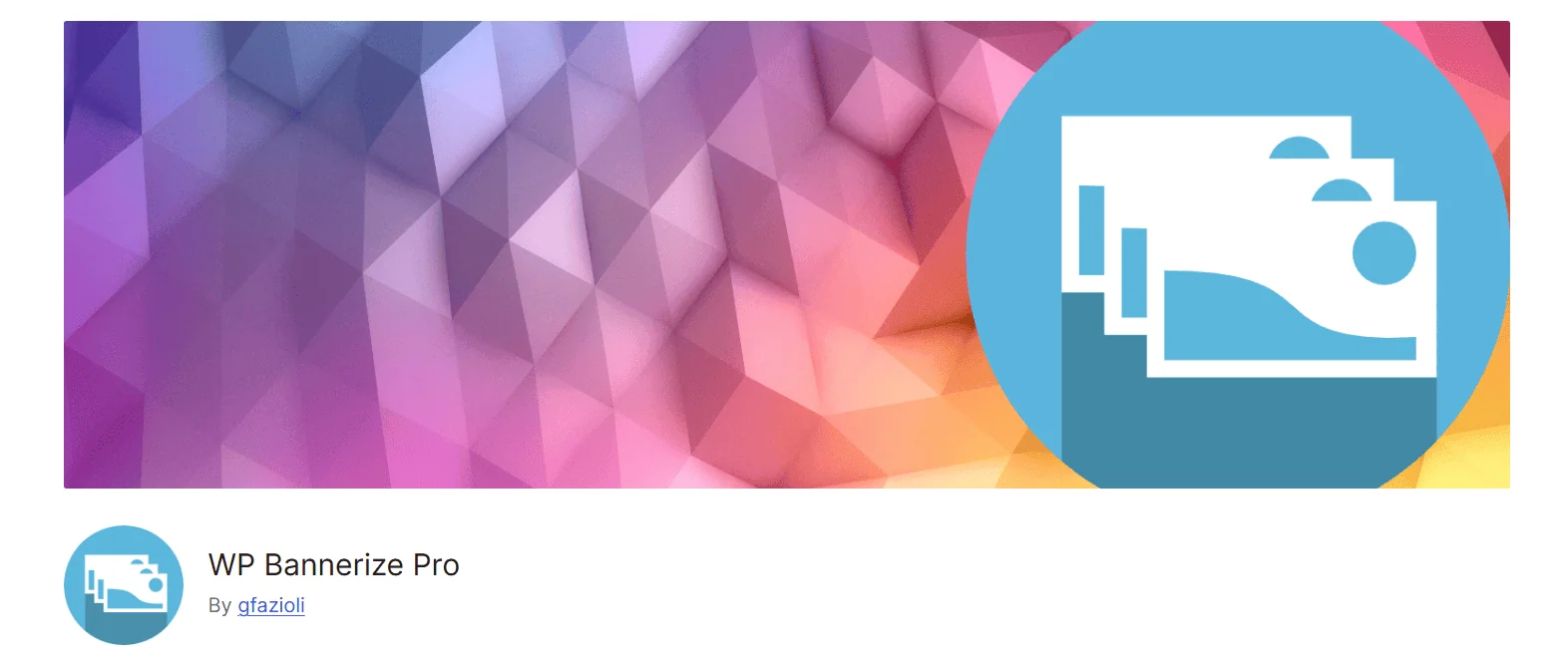 wp-bannerize-pro-plugin-manager